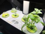AeroGarden Herb Grower